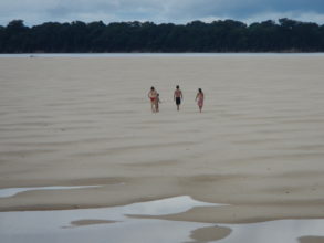 Parque Nacional de Anavilhanas oferece belas praias de areias brancas no Rio Negro