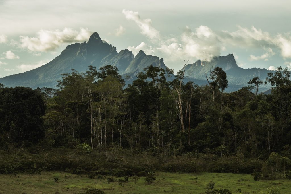 Pico da Neblina