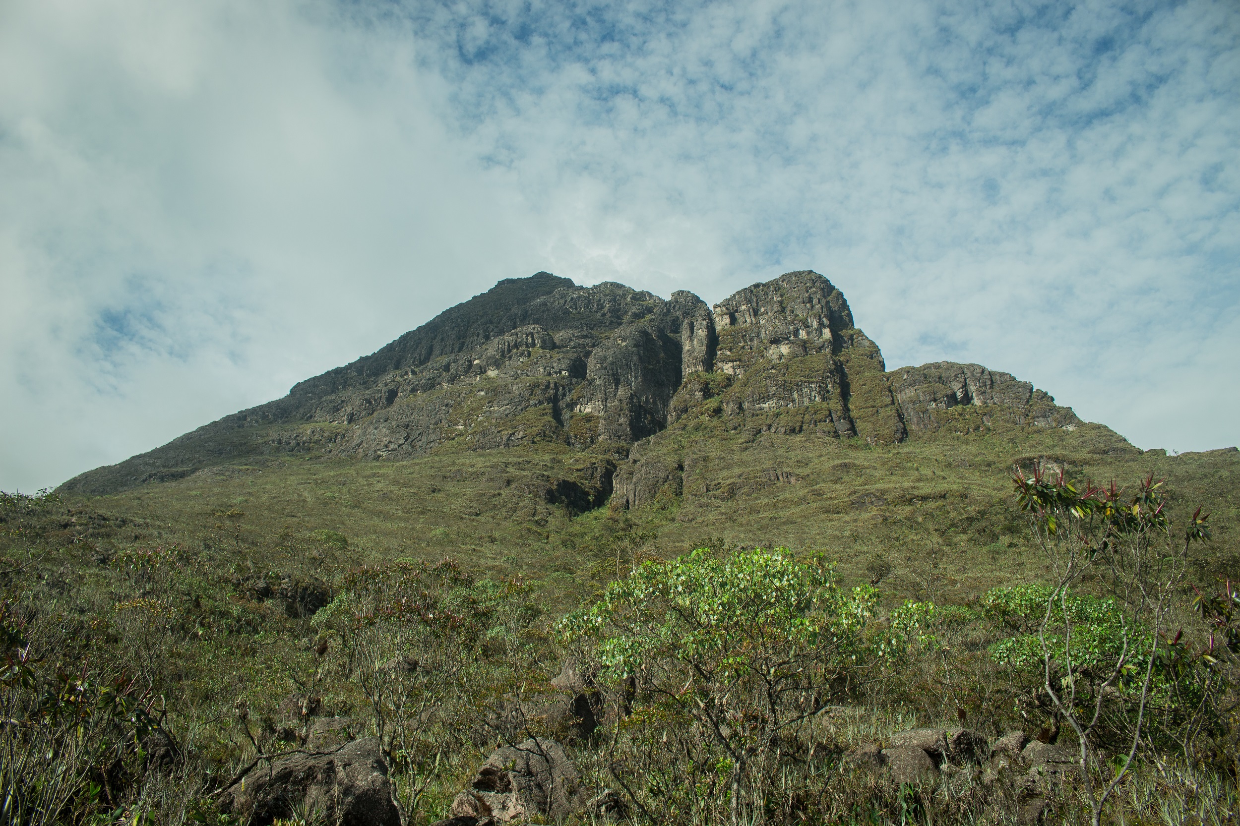 Pico da Neblina